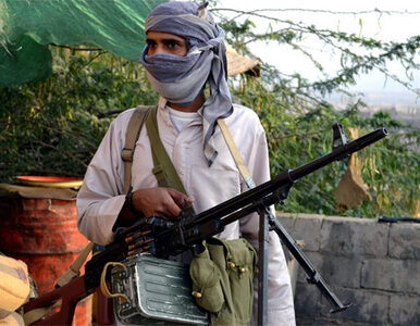 Miniatura: Ponad 100 członków Al-Kaidy zginęło w Jemenie