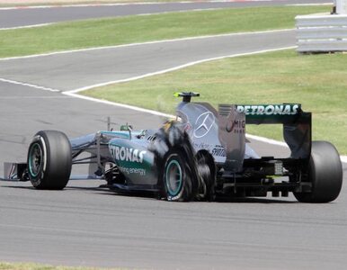 Miniatura: F1: kierowcy przerwą wyścig, jeżeli znowu...