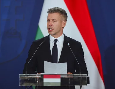 Miniatura: Tragiczny wypadek polskiego autokaru na...