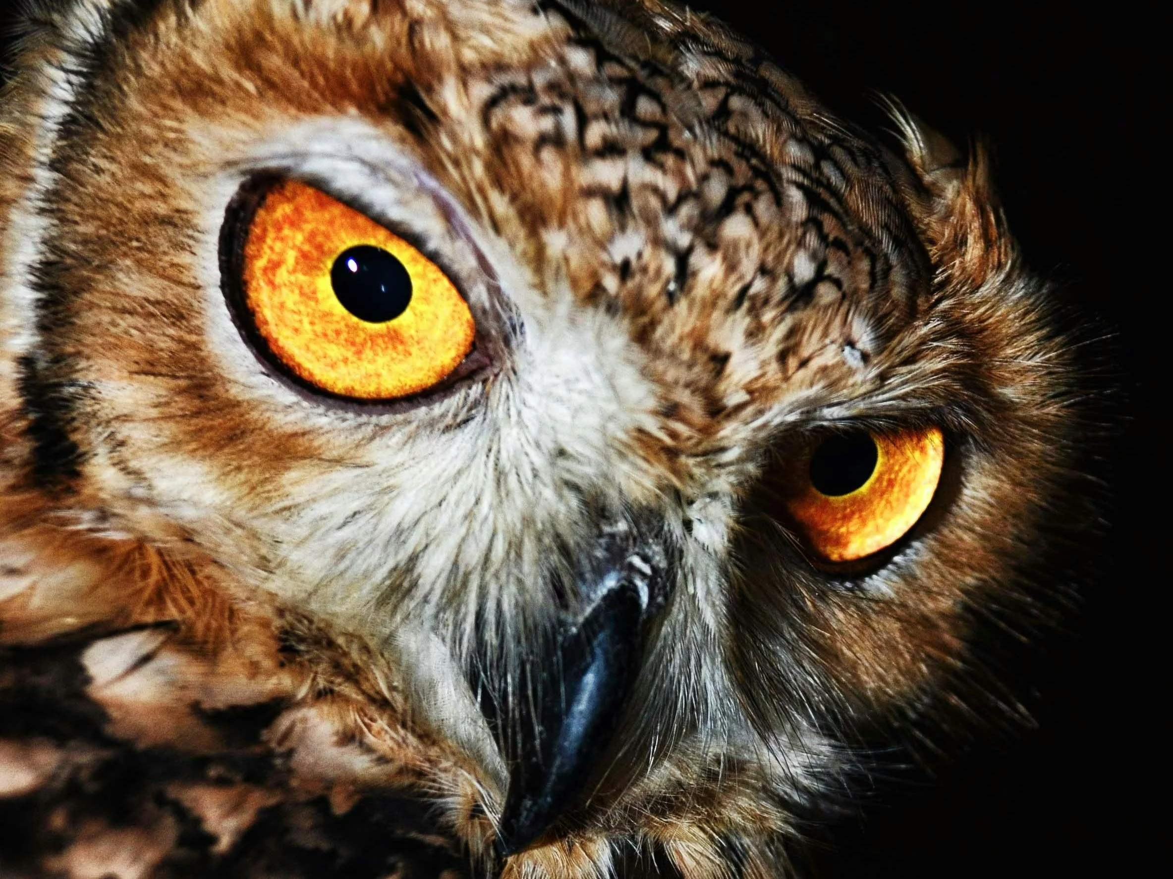 Piątkowy QUIZ z wiedzy ogólnej. Na 6. pytanie odpowie tylko omnibus