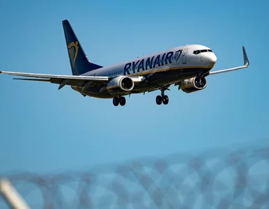 Miniatura: Pasażerowie wiwatowali, gdy pijany turysta...
