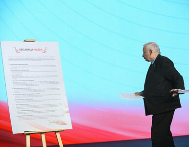 Miniatura: PiS przedstawia „Deklarację polską”....
