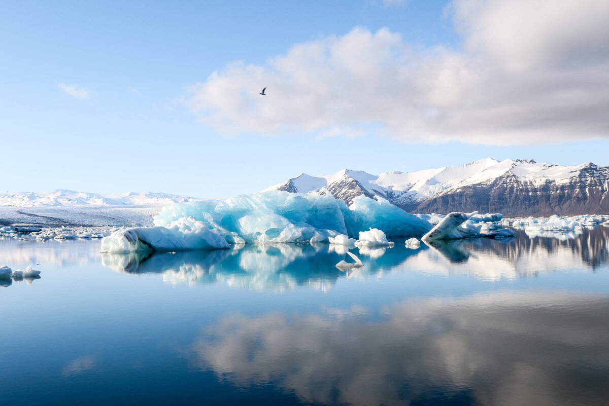 Islandia Iceberg reflection in Jökulsárlón
