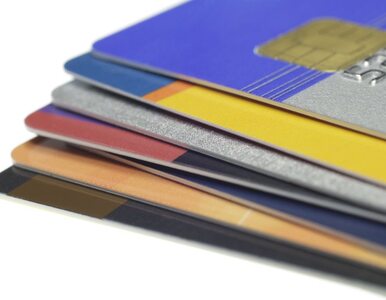 Miniatura: Raport WEI: Państwowa karta płatnicza -...