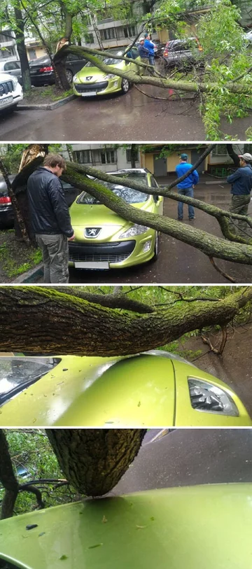 Ten kierowca miał prawdziwe szczęście 