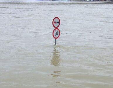 Miniatura: Skutki powodzi we Włoszech. Samochody...