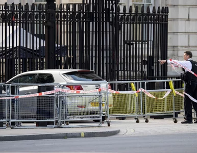 Miniatura: Incydent przy Downing Street. Służby...