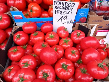 Ceny pomidor&oacute;w malinowych na&nbsp;warszawskich bazarach