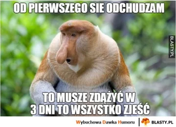 Mem na temat odchudzania 