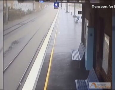 Miniatura: Woda zalewa stację kolejową w Sydney....