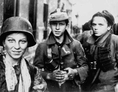 Miniatura: Warszawa jak Stalingrad? "Hitler miał...