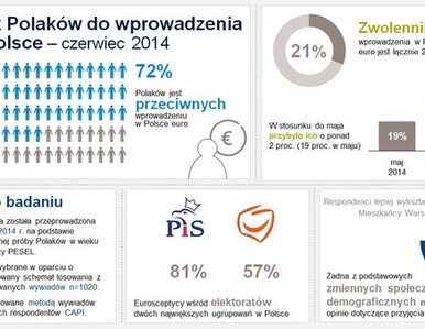 Miniatura: Stosunek Polaków do wprowadzenia euro w...