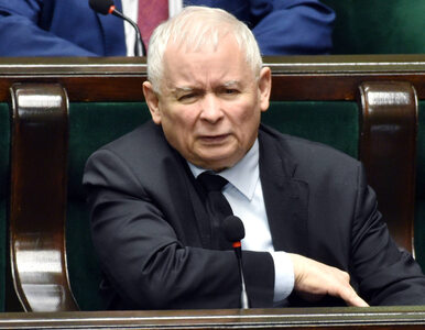 Miniatura: Najnowszy sondaż. Jarosław Kaczyński i...
