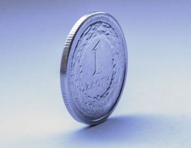 Miniatura: Gomułka: gdyby nie EBC, złoty osłabiłby się