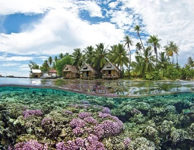 Miniatura: Raj na ziemi. Trudno uwierzyć, że to...