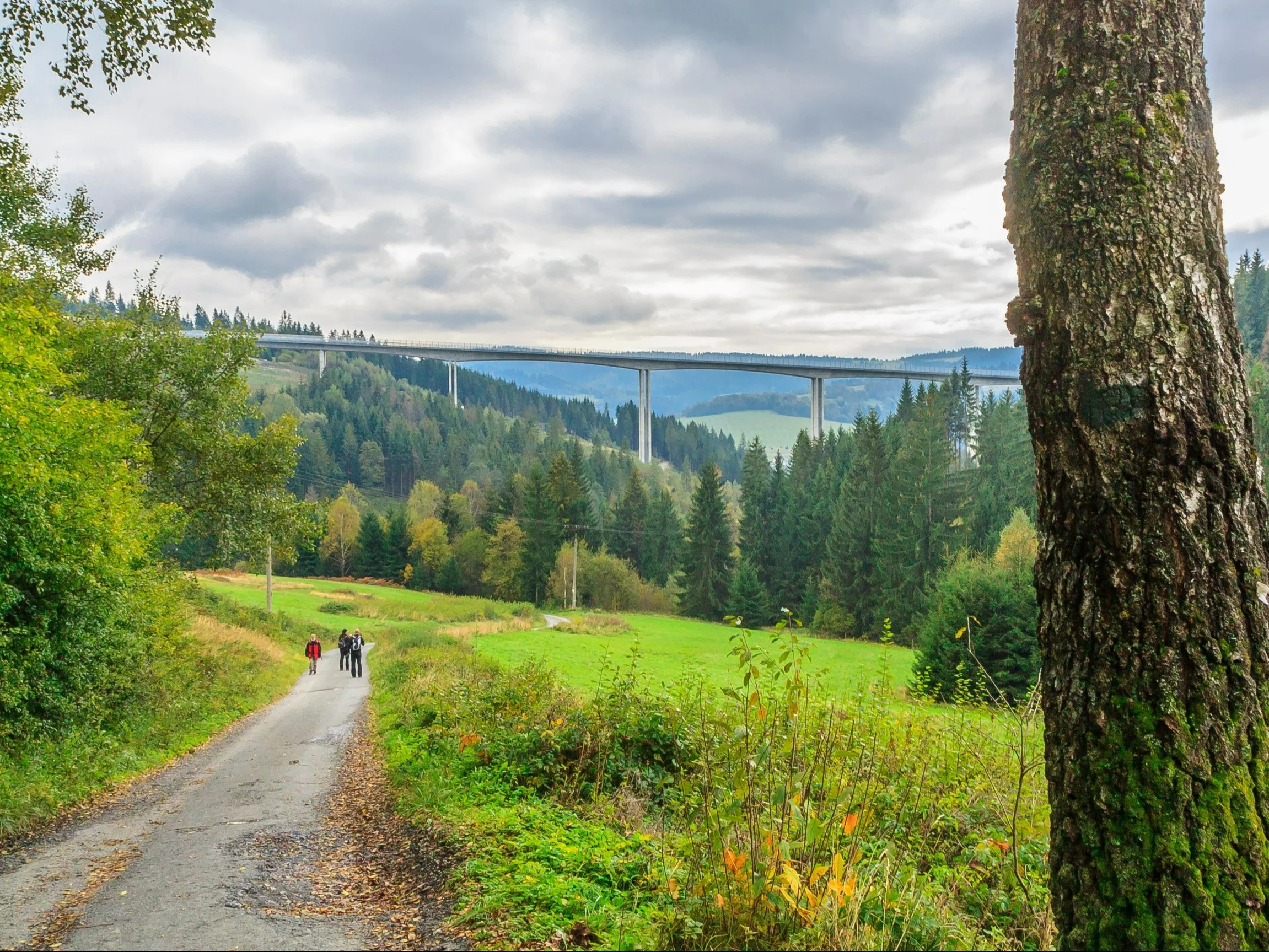 Banalny QUIZ ortograficzny. 10/10 to „must have”