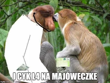 Długi weekend? Da się zrobić! 