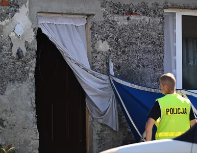 Miniatura: W piwnicy znaleziono zwłoki noworodków....