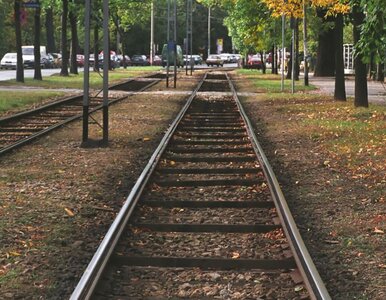 Miniatura: Wrocław: groźne zderzenie tramwajów. 25...