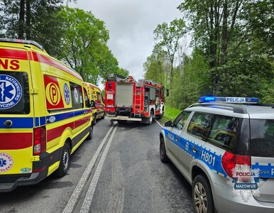 Miniatura: Czołowe zderzenie cysterny z osobówką. Nie...