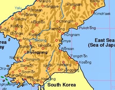 Miniatura: Korea Południowa zabezpiecza się na...