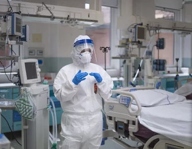 Miniatura: Kuba wysłała do Włoch „armię białych...