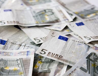 Miniatura: Zadłużenie strefy euro może zagrozić...