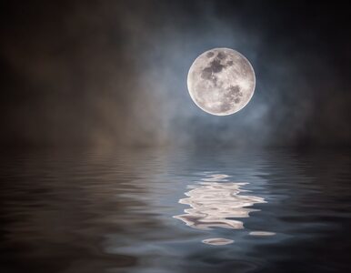 Miniatura: Zbliża się częściowe zaćmienie Księżyca....