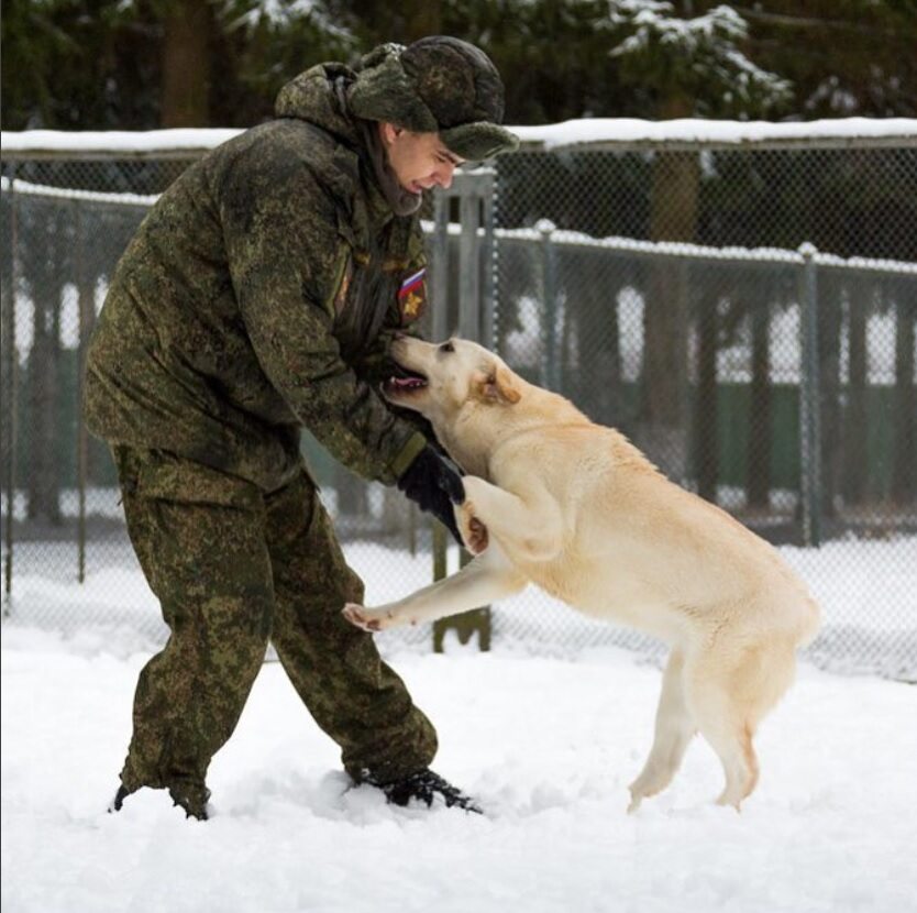 Psy szkolone są w 170. Centrum Rosyjskich Sił Zbrojnych 