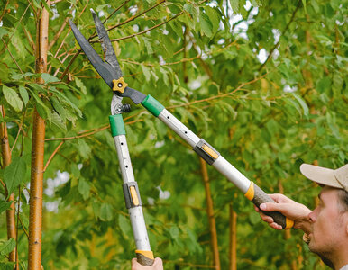 Miniatura: Nie zwlekaj do jesieni! Ostatnia chwila na...