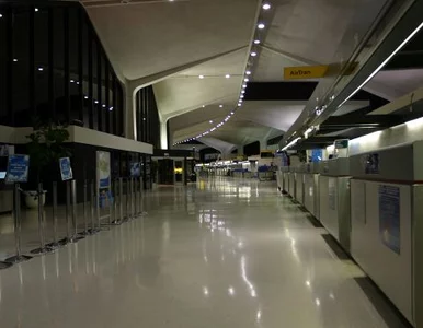 Miniatura: Przez 20 lat na lotnisku w Nowym Jorku...