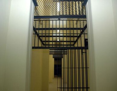 Miniatura: Oferował "spalacze tłuszczu", odsiedzi 5 lat