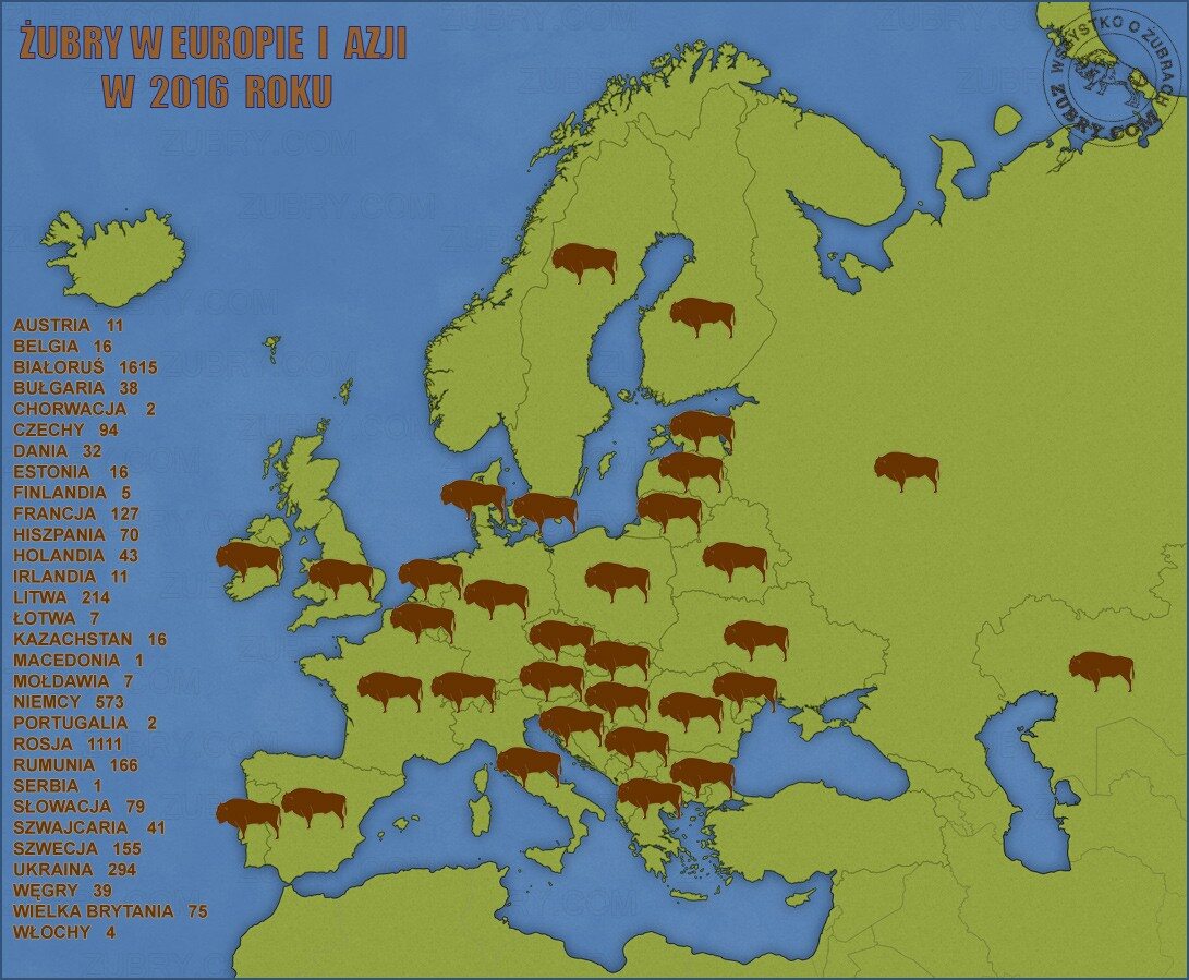 Schemat rozmieszczenia żubrów w Europie 