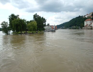 Miniatura: Ponad tysiąc zaginionych po powodzi na...