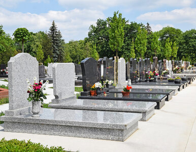 Miniatura: Dewastacja cmentarza w Małopolsce. Policja...