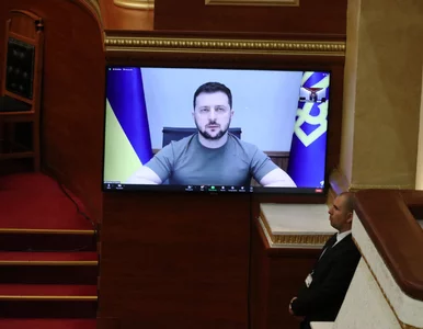 Miniatura: Zełenski skomentował zwycięstwo Ukrainy na...