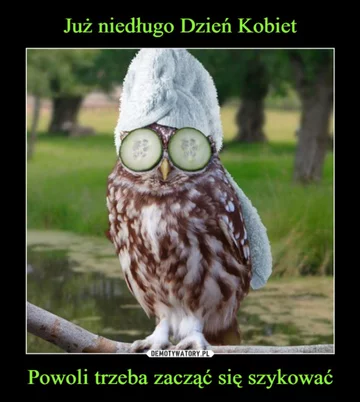 Memy z okazji Dnia Kobiet 