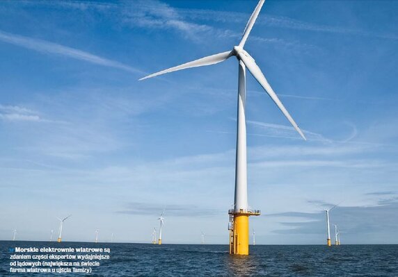 Miniatura: Energia dla klienta