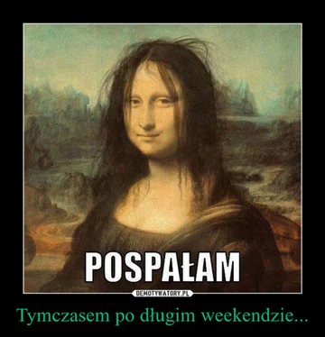 Memy na majówkę 