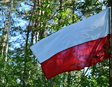 Miniatura: Połowa Polaków nie potrafi rozwiązać tego...