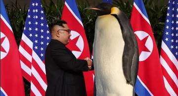 Pingwin zamiast Trumpa 