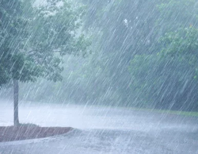 Miniatura: IMGW ostrzega przed podtopieniami. Ten...