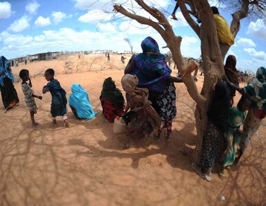 Miniatura: BBC: agencje humanitarne płaciły terrorystom