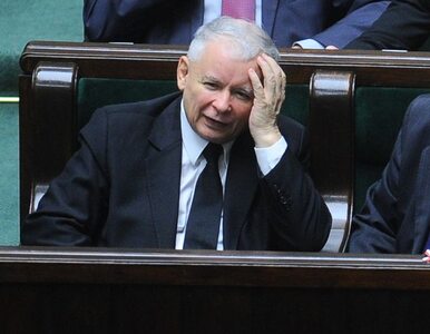 Miniatura: "Kaczyński musi brnąć w zamach, bo wezmą...