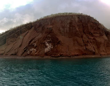 Miniatura: Helikoptery zrzucały truciznę na tę wyspę....