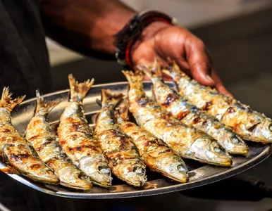 Miniatura: Te 4 ryby najmocniej chronią serce i...