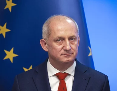 Miniatura: Neumann nie pamięta hasła wyborczego...