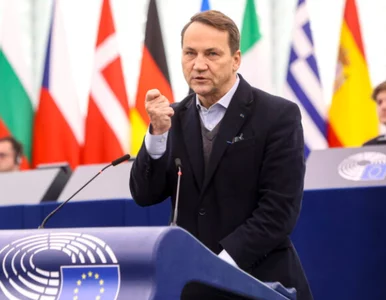 Miniatura: Sikorski chciał uderzyć w Wąsika, naciął...