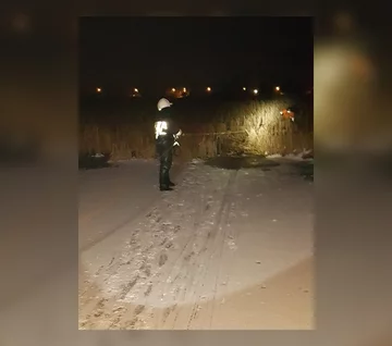 Do zdarzenia doszło w miejscowości Brwilno w gminie Nowy Duninów 