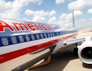 Miniatura: American Airlines złożyły wniosek...